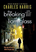 Breaking of Liam Glass