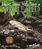 Next Time You See a Maple Seed