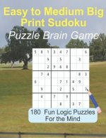 Easy to Medium Big Print Sudoku Puzzle Brain Game