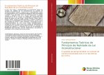 Fundamentos Teoricos do Principio da Nulidade da Lei Inconstitucional