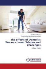 Effects of Domestic Workers Lower Salaries and Challenges