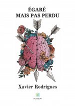 Egare mais pas perdu