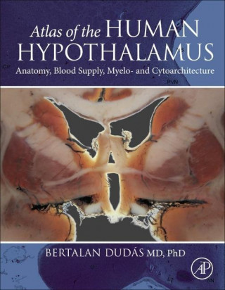 Atlas of the Human Hypothalamus