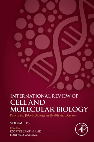 Pancreatic B Cell Biology in Health and Disease