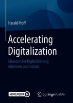 Accelerating Digitalization