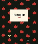 Es lo que hay