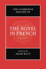 Cambridge History of the Novel in French