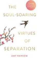 The Soul-Soaring Virtues of Separation: 111 Learnings to Heal Your Heart and Help You Fly