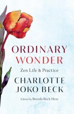 Ordinary Wonder