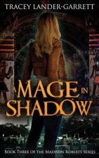 A Mage in Shadow