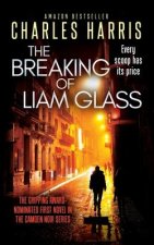 Breaking of Liam Glass