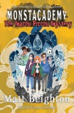 Machu Picchu Mystery
