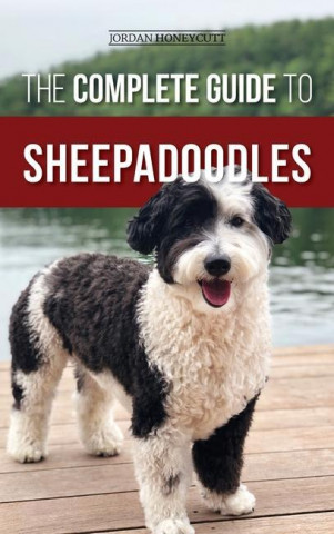 Complete Guide to Sheepadoodles