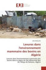 Levures dans l'environnement mammaire des bovins en Algerie