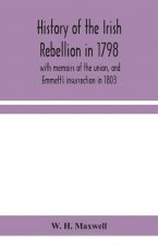 History of the Irish rebellion in 1798