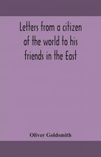 Letters from a citizen of the world to his friends in the East