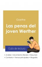 Guia de lectura Las penas del joven Werther de Goethe (analisis literario de referencia y resumen completo)