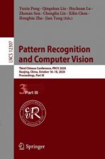 Pattern Recognition and Computer Vision