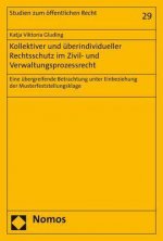 Kollektiver und überindividueller Rechtsschutz im Zivil- und Verwaltungsprozessrecht