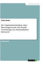 Die Organisationsstruktur eines Betreuungsvereins. Das Projekt 
