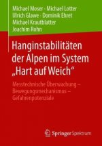 Hanginstabilitaten der Alpen im System 