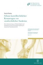 Schutz kartellrechtlicher Kronzeugen vor strafrechtlicher Sanktion.