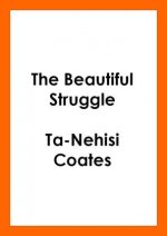 Beautiful Struggle