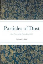Particles of Dust