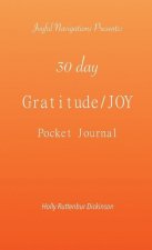 30 day Gratitude/JOY Pocket Journal