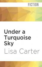 Under a Turquoise Sky