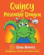Quincy the Miserable Dragon