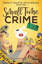 Small Time Crime