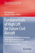 Fundamentals of High Lift for Future Civil Aircraft