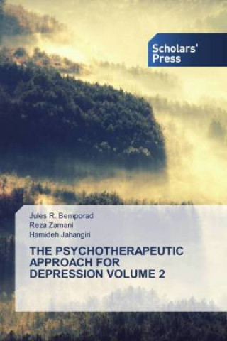 Psychotherapeutic Approach for Depression Volume 2