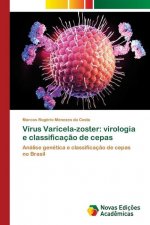 Virus Varicela-zoster