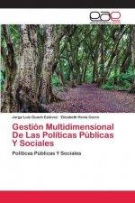 Gestion Multidimensional De Las Politicas Publicas Y Sociales