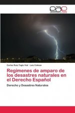 Regimenes de amparo de los desastres naturales en el Derecho Espanol