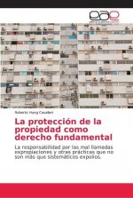 proteccion de la propiedad como derecho fundamental