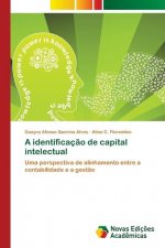 identificacao de capital intelectual