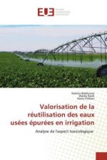 Valorisation de la reutilisation des eaux usees epurees en irrigation