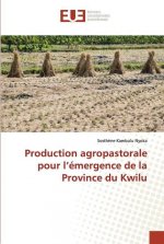 Production agropastorale pour l'emergence de la Province du Kwilu