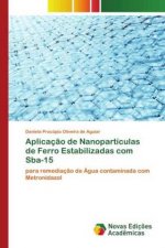 Aplicacao de Nanoparticulas de Ferro Estabilizadas com Sba-15