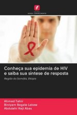 Conheca sua epidemia de HIV e saiba sua sintese de resposta