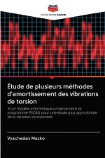 Etude de plusieurs methodes d'amortissement des vibrations de torsion