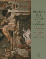 Perino del Vaga for Michelangelo