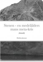 Stenen - en medelalders mans meta-kris