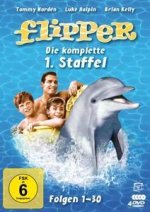 Flipper - Die komplette 1. Staffel (4 DVDs)