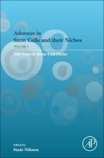 Cancer Stem Cell Niche