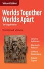 Worlds Together, Worlds Apart – A History of the World from the Beginnings of Humankind to the Present
