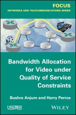 Bandwidth Allocation for Video under Quality of Se rvice Constraints